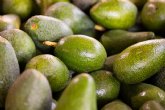 Ya sea para la vuelta al cole o al trabajo: El aguacate est aqu para reactivar tu cerebro