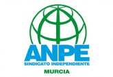 ANPE rechaza las agresiones en educacin