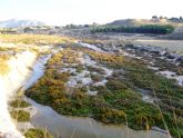 La Comunidad adquiere terrenos en Ajauque y Río Chícamo para asegurar la conservación de los espacios protegidos