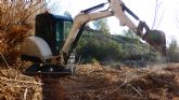 ANSE sustituye 100 metros de orilla de cana por bosque de ribera en Canaverosa