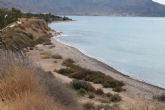 La Demarcacion de Costas saca a informacion publica la creacion de una playa canina municipal entre Isla Plana y San Gines