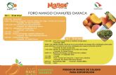 Empacadoras de Mango de Exportacion y la National Mango Board organizan el Foro del Mango en Chiahuites (Oaxaca)