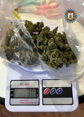 Desmantelados 11 invernaderos indoor con más de mil plantas de cannabis Desmantelados 11 invernaderos indoor con más de mil plantas de cannabis