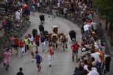 Encierro rpido y limpio con las reses de la ganadera de Los Chospes