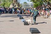 La Guardia Civil realizar una exhibicin de recursos tcnicos y humanos con motivo de la celebracin de su Patrona