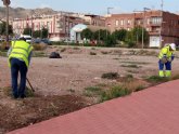 Un total de 75 peones agrcolas comienzan hoy el primer turno del programa de los Consejos Comarcales 2024/2025 en Totana