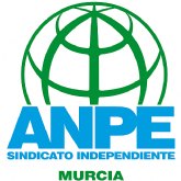 ANPE MURCIA logra que la oferta de empleo público para las oposiciones al Cuerpo de Secundaria, y otros Cuerpos para 2025 alcance 1505 plazas