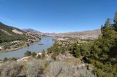 La CHS realiza controles periódicos de algas que pudieran afectar a la calidad del agua de los embalses de la cuenca