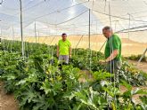 El gobierno de Lorca reclama a Europa que proteja a los agricultores espanoles y aplique las clusulas espejo a terceros pases