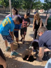 Los alumnos de 6o de Primaria se despiden de sus colegios plantando rboles, en el Da Mundial del Medio Ambiente