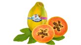 Papaya de canarias: el nuevo éxotico de sanlucar