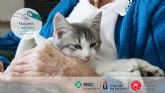 Nace 'Mayores y Mininos. Adopta un Gato', la iniciativa solidaria para la adopcin de gatos adultos por personas mayores en situacin de soledad