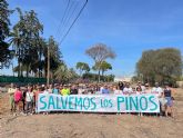 Vecinos y asociaciones se concentran para salvar los pinos de Churra