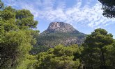 La plaza Dez de Revenga de Murcia rendir homenaje a Ricardo Codornu con la plantacin de arbolado monumental