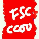 FSC-CCOO considera imposible que se produzcan malos tratos en la RPM Obispo Azagra