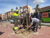 El Plan Foresta supera los 36.600 árboles plantados con una nueva actuación en Espinardo El Plan Foresta supera los 36.600 árboles plantados con una nueva actuación en Espinardo