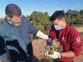 La Comunidad libera un bho real tras su rehabilitacin durante tres meses en el Centro de Recuperacin de Fauna