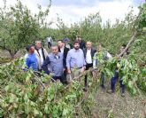 Cano: 'Ni 24 horas tard el presidente Lpez Miras en meterse en el barro, visitar las zonas afectadas por el granizo y dar soluciones inmediatas a los agricultores'