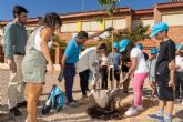 El Ayuntamiento ampla a ms de 100 rboles el plan de sombraje natural en los colegios este curso