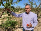 Cano: 'Gracias al compromiso del Gobierno de Lpez Miras con el campo, los agricultores de la Regin de Murcia contarn con un nuevo seguro agrario'