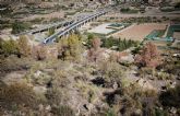 IU-Verdes denuncia el mayor desastre ecolgico en los montes pblicos de la Regin debido a la sequa