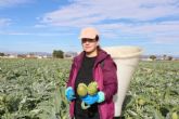 La alcachofa de la Vega Baja lanza 'Historias con corazn', una reivindicacin del trabajo en la huerta a travs de 3 generaciones