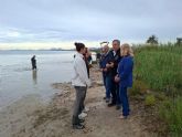 El Gobierno regional refuerza la vigilancia y la retirada de biomasa tras las lluvias torrenciales registradas en el entorno del Mar Menor El Gobierno regional refuerza la vigilancia y la retirada de biomasa tras las lluvias torrenciales registradas en el entorno del Mar Menor