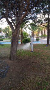 El Ayuntamiento de San Javier intensifica la lucha contra los mosquitos