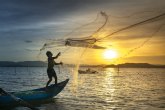 El 80% de espanoles considera necesario consumirms productos del mar de fuentes sostenibles