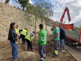 El Ayuntamiento de Caravaca realiza mejoras en una treintena de zonas verdes del casco urbano y las pedanías