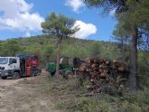 Trabajos de mejora forestal en la Sierra de Burete para una gestión sostenible del monte Trabajos de mejora forestal en la Sierra de Burete para una gestión sostenible del monte