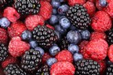 El 13ª Congreso Internacional de ANEBERRIES