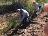 Gesa Mediacin se suma a la proteccin medioambiental con la iniciativa 'Planta un bosque' de AEMA