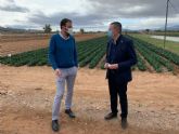 El Centro de Demostracin Agraria de Purias desarrolla un proyecto de compost a base de larvas de insecto para cultivos