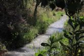 Huermur alerta de las intenciones de fumigar con glifosato las acequias y azarbes de la Huerta