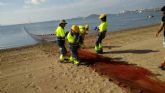 Retirada de redes ilegales en la playa del Vivero