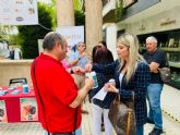 Lorca conmemora el Día Mundial de la Salud Mental con diversas actividades de sensibilización de la mano de ASOFEM