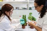 UCAM-SENS desarrolla un sensor que visualiza en tiempo real el estado integral de las plantas