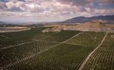 La nutricin mineral y la tolerancia de las plantas a las enfermedades