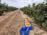 La UPCT, junto con Nutricontrol y EcoHidro, desarrolla una nueva tecnologa para eliminar el boro del agua marina desalinizada para cultivos