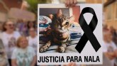 PACMA, junto a diversos colectivos animalistas, exige justicia ante el 'brutal asesinato' de la gata Nala en Torrevieja PACMA, junto a diversos colectivos animalistas, exige justicia ante el 'brutal asesinato' de la gata Nala en Torrevieja