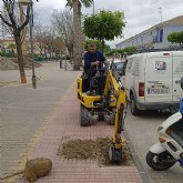 Nuevas plantaciones para reforzar las zonas verdes y mejorar los espacios de sombra en el municipio Nuevas plantaciones para reforzar las zonas verdes y mejorar los espacios de sombra en el municipio