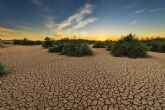 La Regin de Murcia  es una de las zonas con ms riesgo de desertificacin de Europa