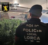 Policía Local desmantela un cultivo de más de 100 plantas de marihuana en una vivienda del barrio de San Lázaro