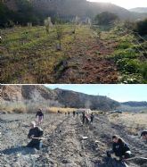 Las plantaciones de bosque de ribera de La Huertecica presentan una alta tasa de supervivencia