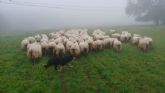 Llamamiento de LORRA para reconocer la labor del Agro vizcano en la emergencia sanitaria