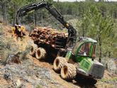 Leñas El Cardoso emplea a 10 trabajadores de la comarca de la Sierra Norte de Guadalajara