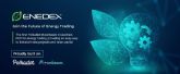 ENEDEX anuncia la primera DEX Cross-Chain Polkadot Moonbeam para el comercio de energa