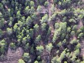 Evacuado por aire y trasladado al hospital un ciclista accidentado en la Sierra de Carrascoy (Murcia)