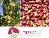 La consultora CEDEC colabora con FRUTAS GARCA VARGAS y su marca de productos ecolgicos LA TIERRICA BIO